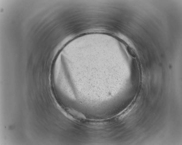 X0000074291237200609151909