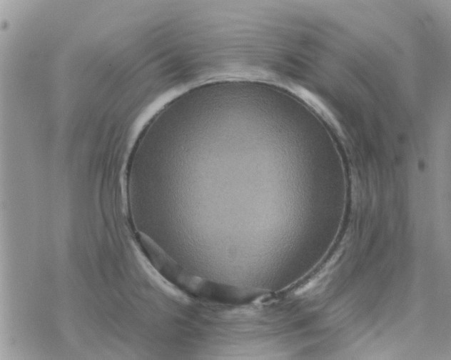 X0000074291238200609151909