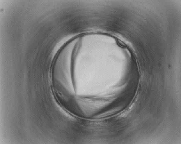 X0000074291239200609151909