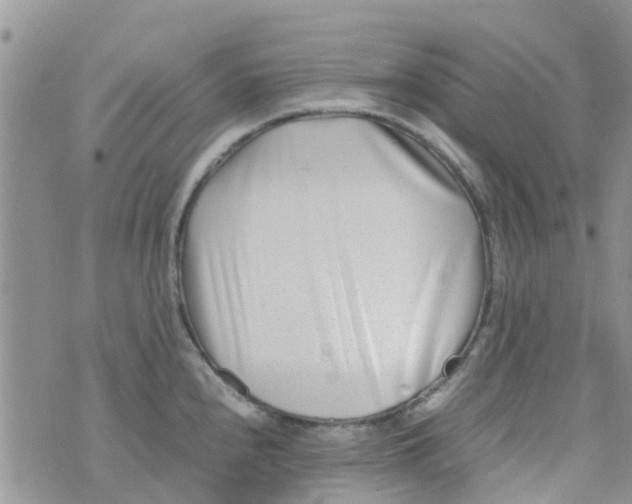 X0000074291240200609151909