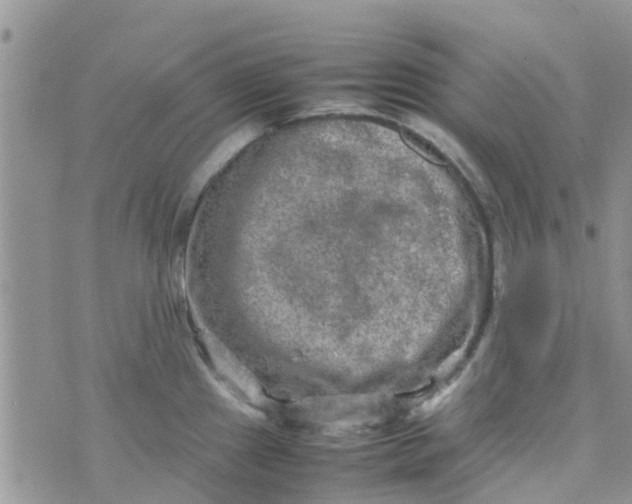 X0000074291241200609151909