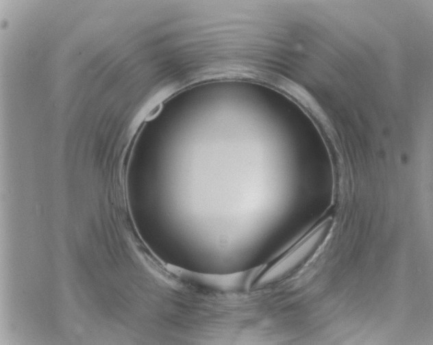 X0000074291242200609151909