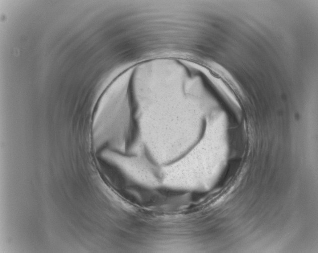 X0000074291244200609151909