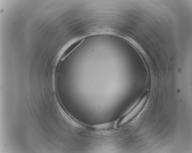 X0000074291246200609151909