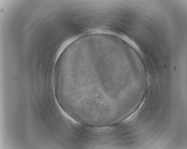 X0000074291247200609151909