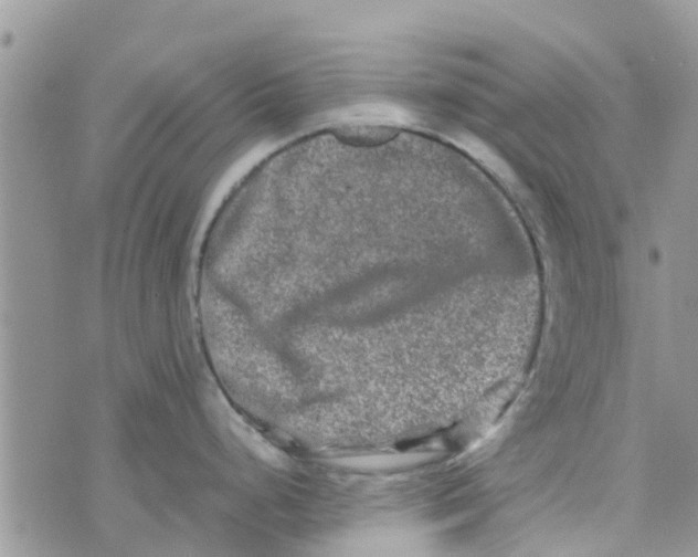 X0000074291248200609151909