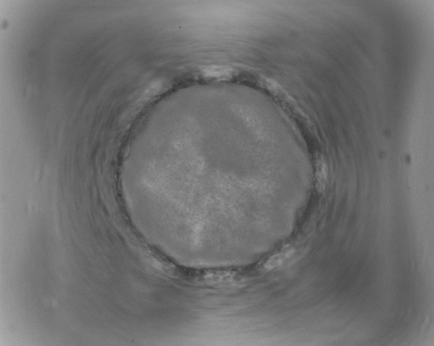 X0000074291249200609151908