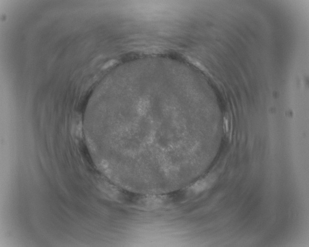 X0000074291251200609151908