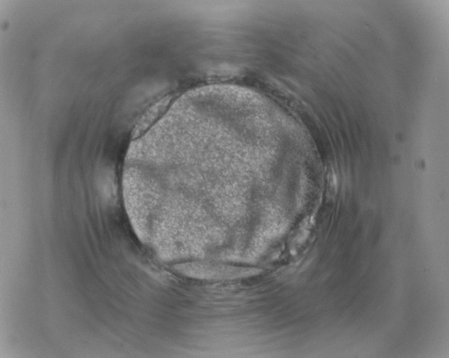 X0000074291252200609151908