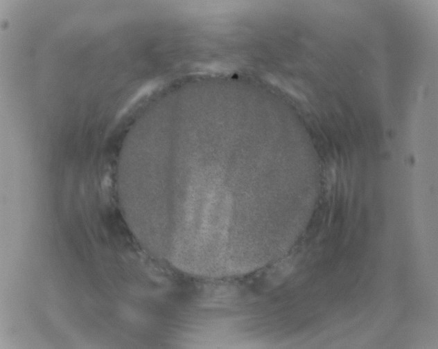 X0000074291254200609151908