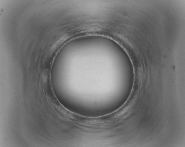 X0000074291257200609151908