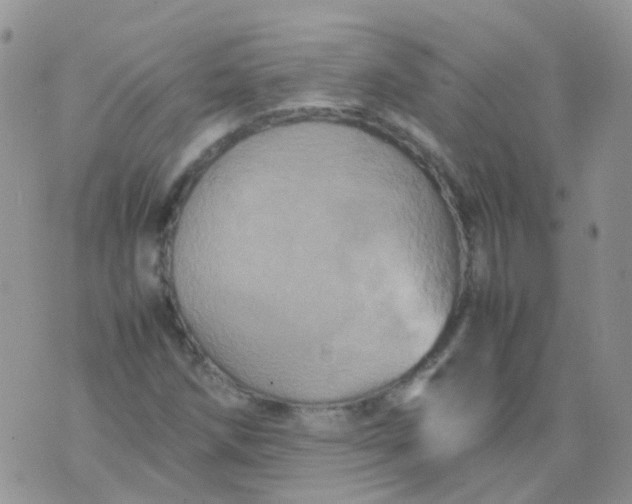 X0000074291258200609151908