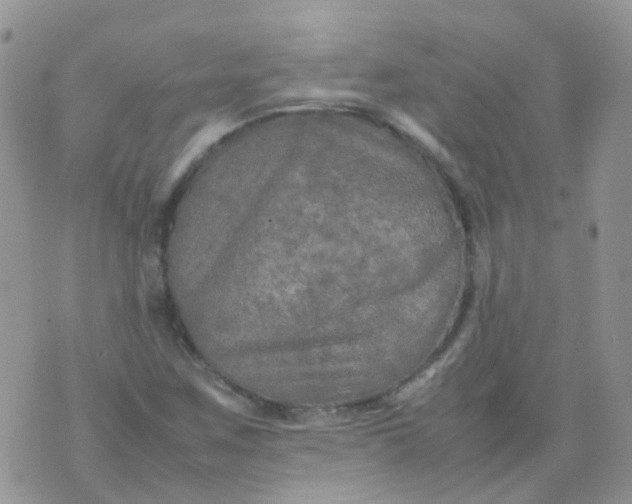 X0000074291259200609151908