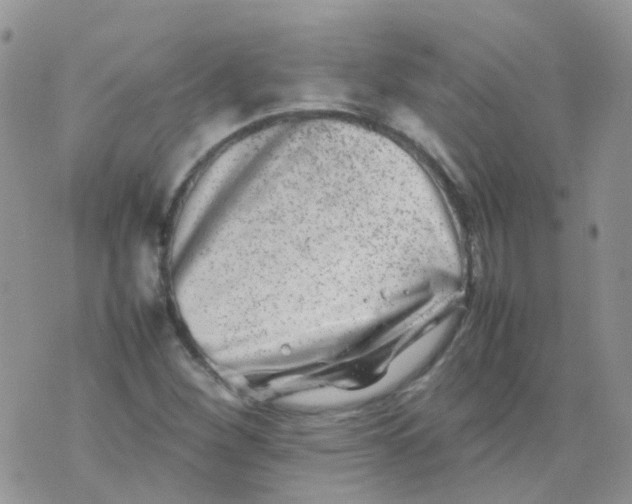 X0000074291260200609151908