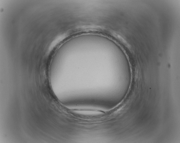 X0000074291261200609151908