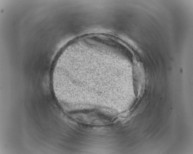 X0000074291264200609151908