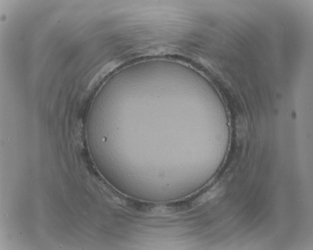 X0000074291265200609151908