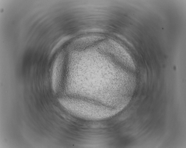 X0000074291266200609151908