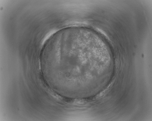 X0000074291267200609151908