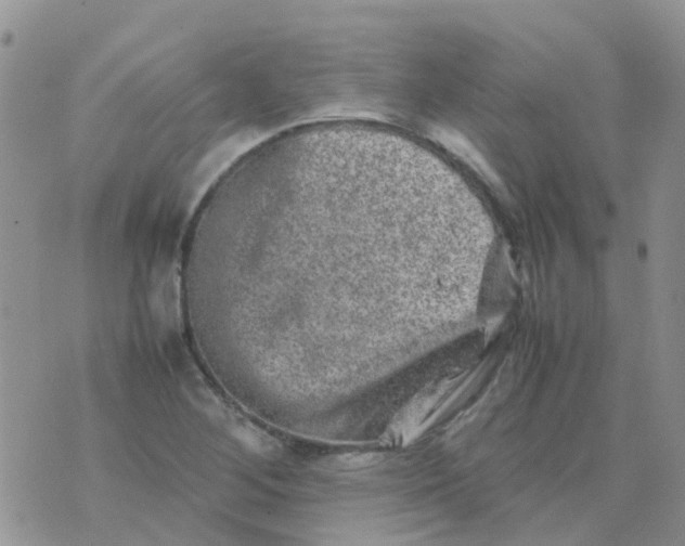 X0000074291268200609151908