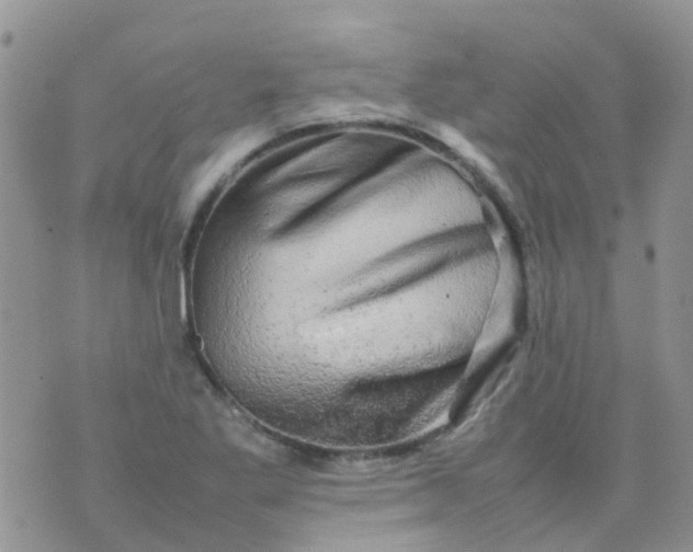 X0000074291269200609151908