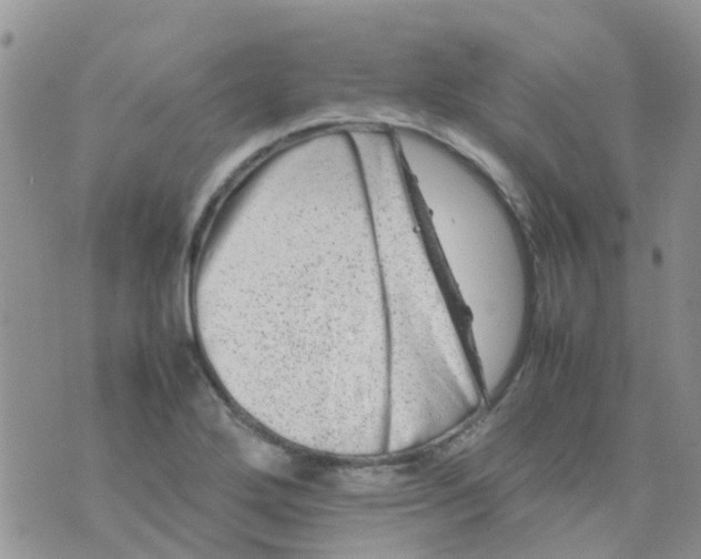 X0000074291272200609151908