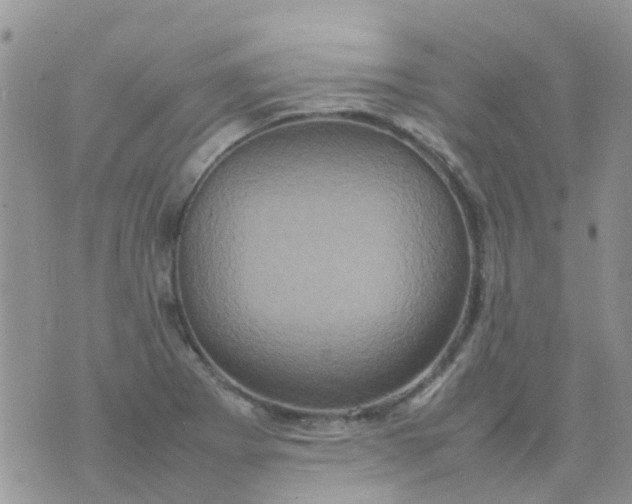 X0000074291273200609151908