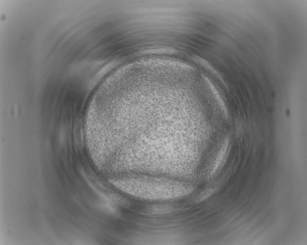 X0000074291274200609151908