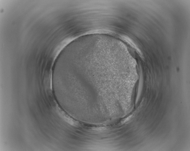 X0000074291276200609151908