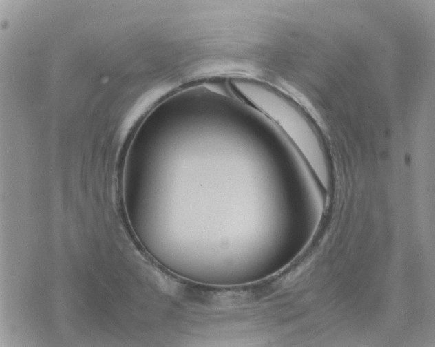 X0000074291277200609151908