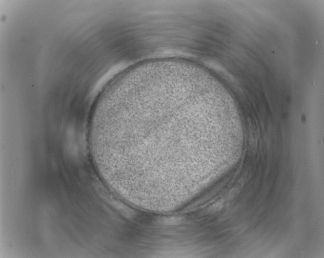 X0000074291278200609151908