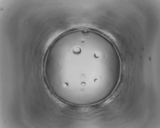 X0000074291279200609151908