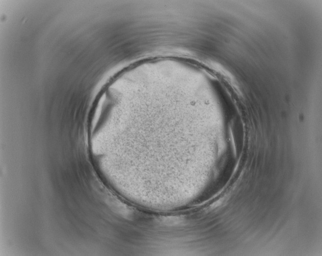 X0000074291280200609151908