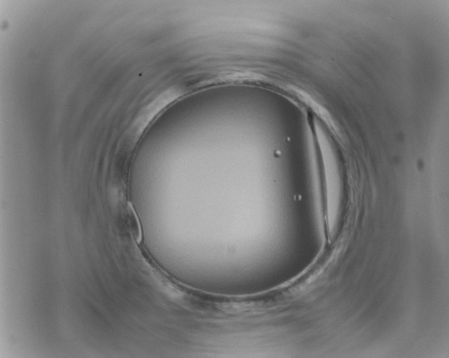 X0000074291281200609151907