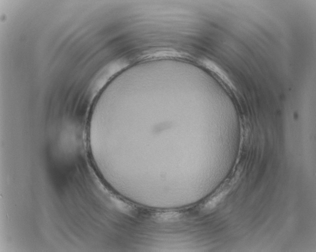 X0000074291282200609151907