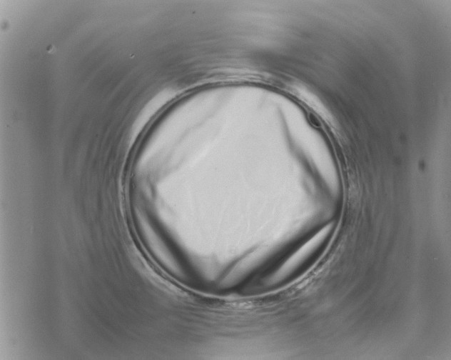 X0000074291283200609151907