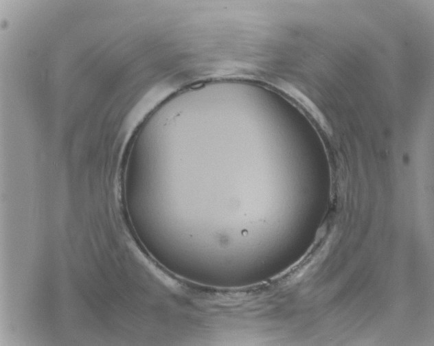 X0000074291285200609151907