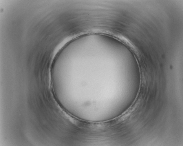 X0000074291286200609151907