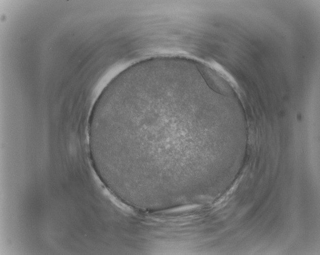 X0000074291287200609151907