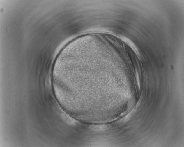 X0000074291288200609151907