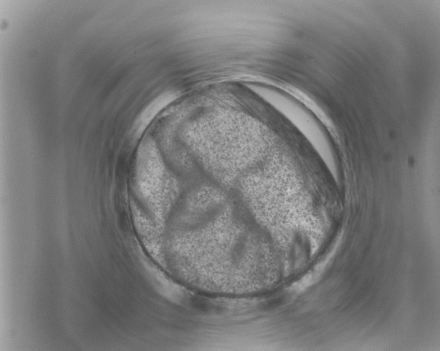 X0000074291289200609151907