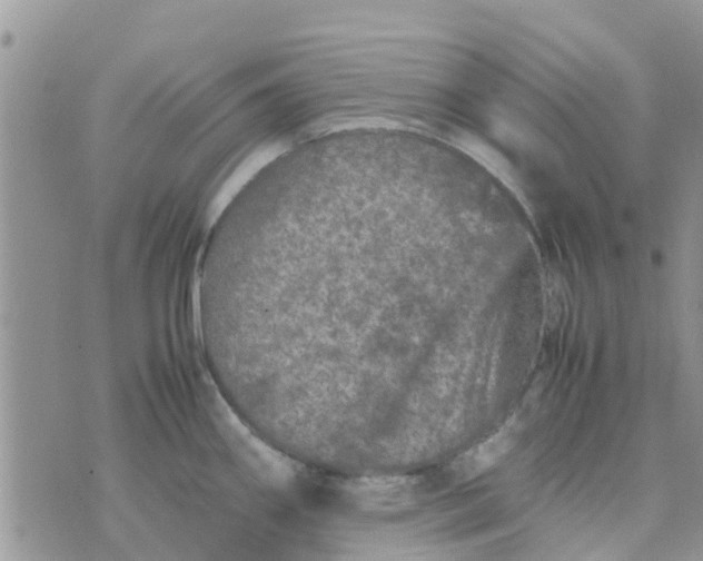 X0000074291290200609151907