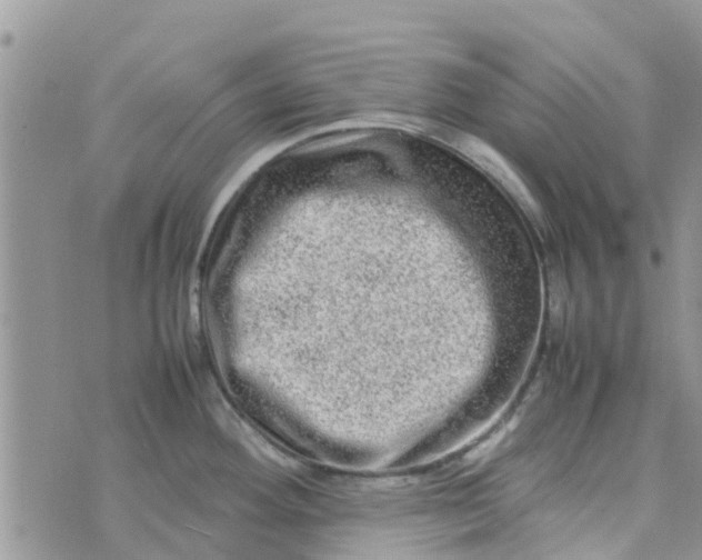 X0000074291292200609151907