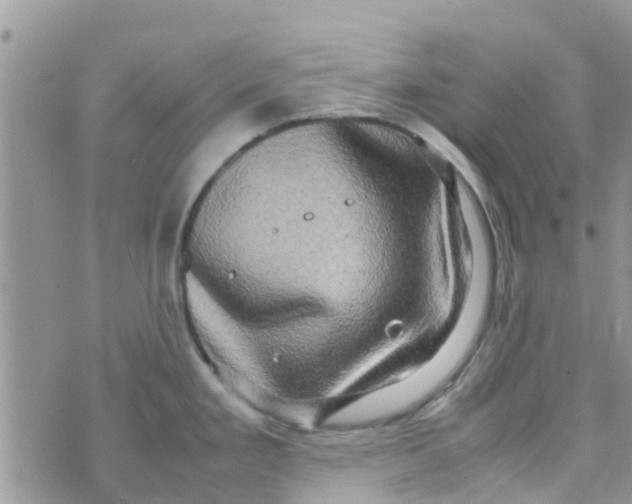 X0000074291293200609151907