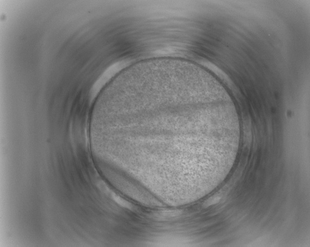 X0000074291294200609151907