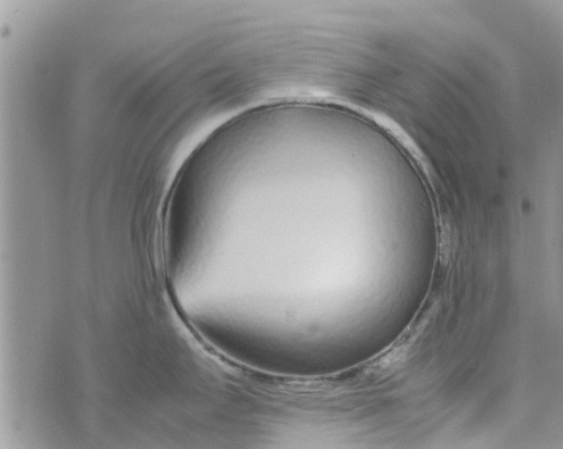 X0000074291295200609151907