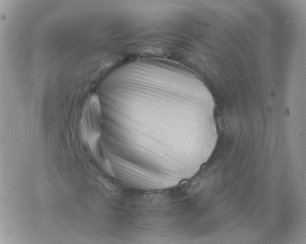 X0000074291297200609151906