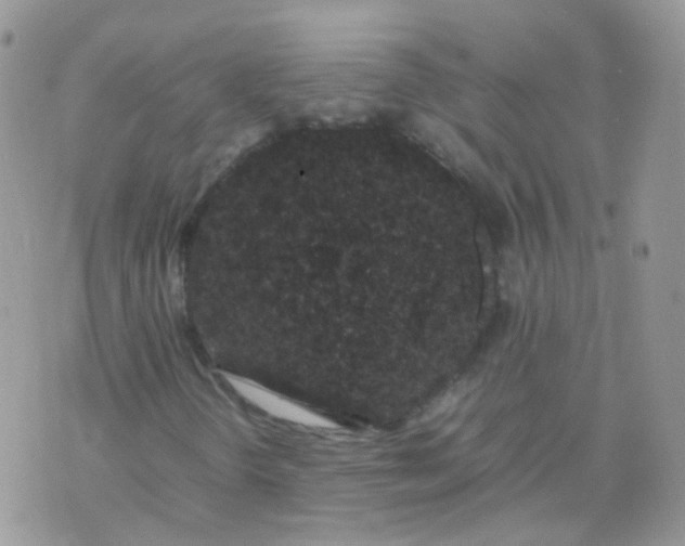 X0000074291298200609151906