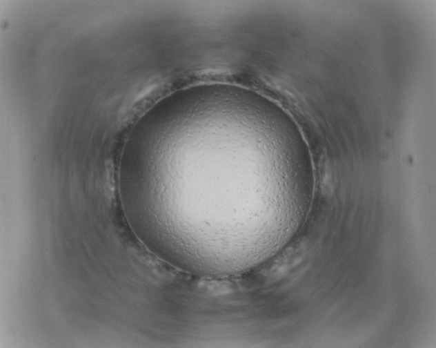 X0000074291301200609151907