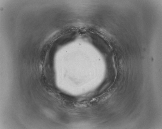 X0000074291302200609151907